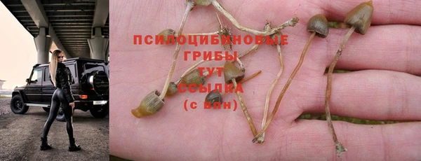 стафф Верхнеуральск