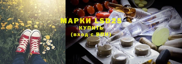 spice Бородино