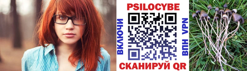 Псилоцибиновые грибы ЛСД  Купить  Кимовск 